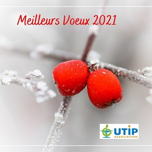voeux voeux
